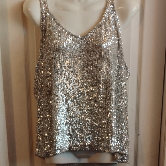 Daytrip Tops - Daytrip Silver Sequin Tank Top